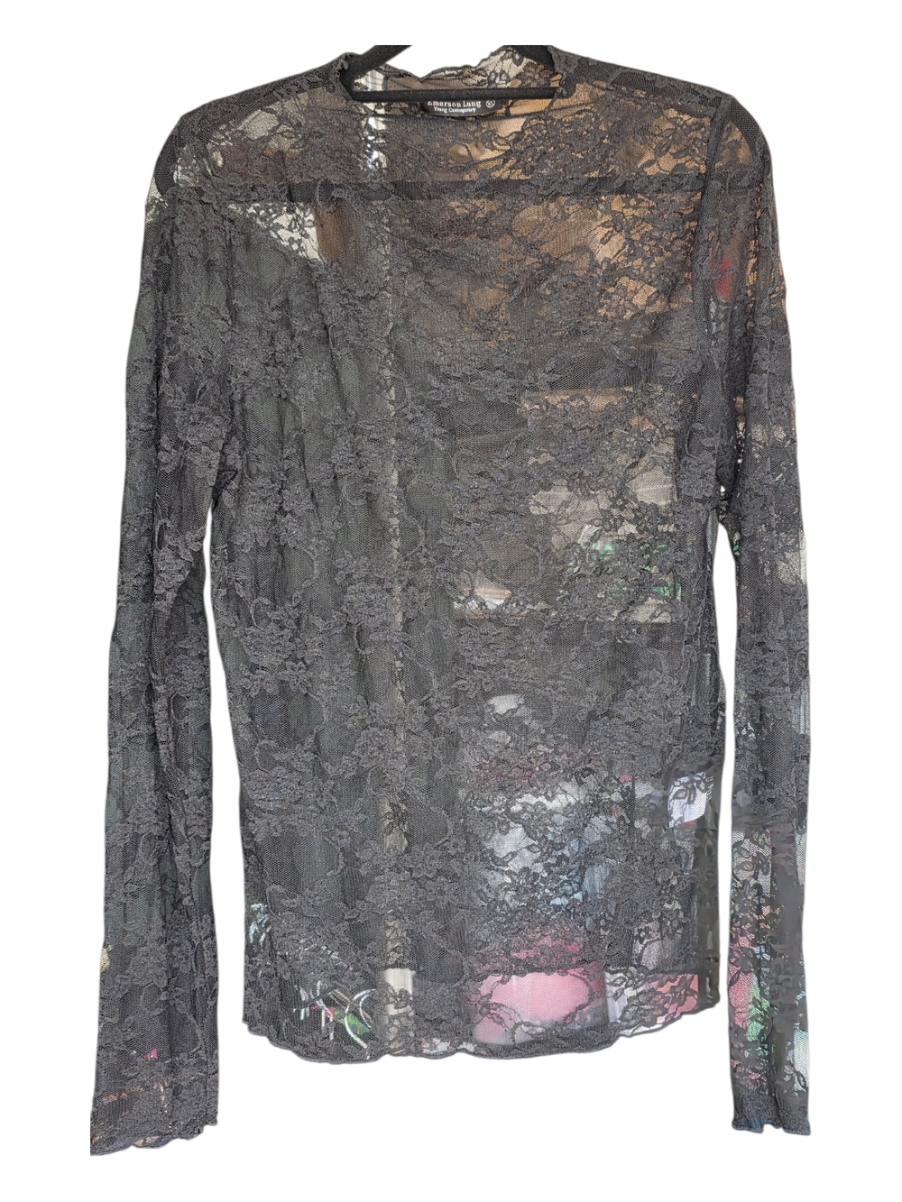 Emerson Lang Lace Sheer Mesh Long Sleeves Black High Lace Long Sleeve Top